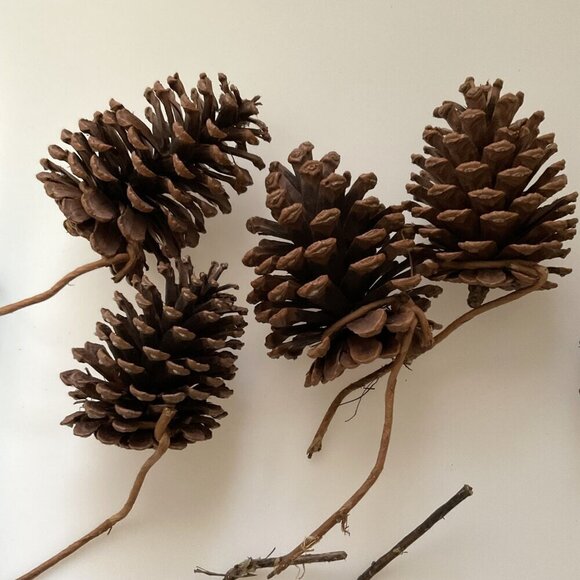 DIY PINE CONES AND CURLY TWIGS 15 COUNT - Picture 6 of 8